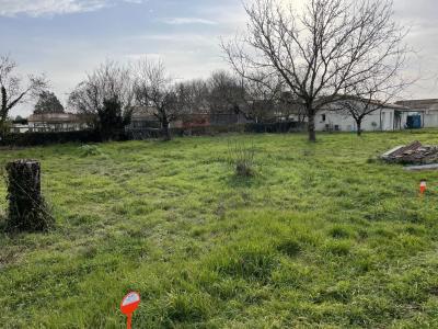 Terrain constructible 875 m²
