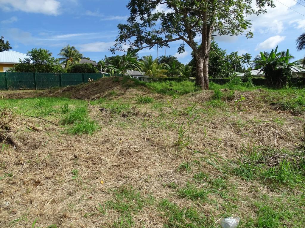 Vente Vente Terrain Petit-Bourg - Réf. 10434  - Mandataire immobilier Fred Ernest - image 1