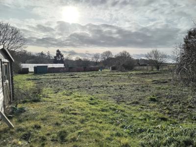 Vente Terrain Égreville - Réf. 10284  - Mandataire immobilier Marie Butet - image 2