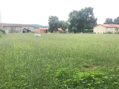 Vente Terrain constructible Beauchalot - Réf. 10481  - Mandataire immobilier Catalina Gutierrez - image 4