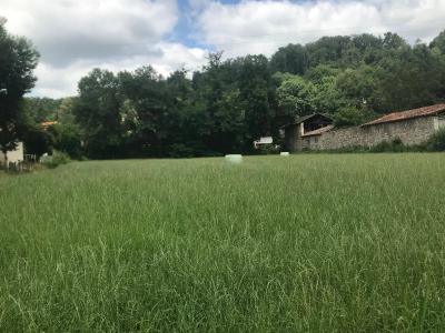 Terrain constructible 2343 m²