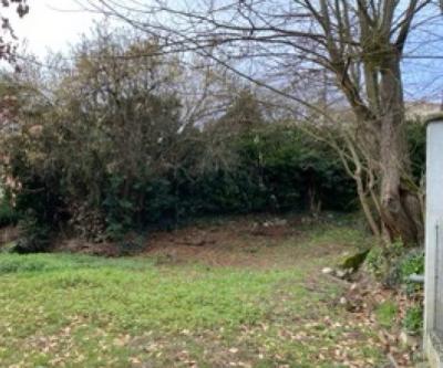 Vente Terrain constructible Lafitte-Vigordane - Réf. 10311  - Mandataire immobilier Catalina Gutierrez - image 2