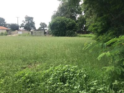 Vente Terrain constructible Beauchalot - Réf. 10481  - Mandataire immobilier Catalina Gutierrez - image 2