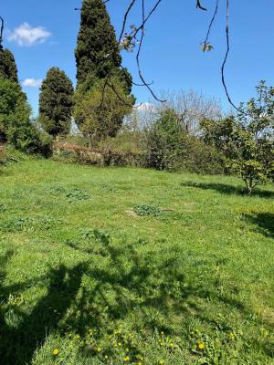 Vente Terrain constructible Bax - Réf. 10365  - Mandataire immobilier Catalina Gutierrez - image 4