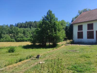 Vente Ferme Bois-de-Champ - Réf. 11143  - Mandataire immobilier Quentin Ripoll - image 13