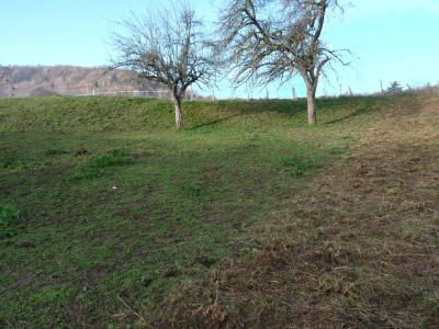 Vente Terrain constructible Saint-Geoire-en-Valdaine - Réf. 10752  - Mandataire immobilier Azzédine Chared - image 6