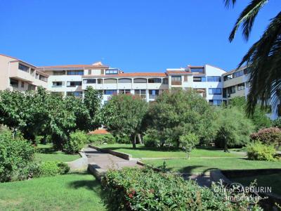 Studio 31 m²