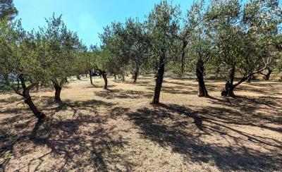 Terrain 1200 m²