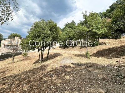 Vente Terrain constructible Digne-les-Bains - Réf. 11328  - Mandataire immobilier Corinne Gruber - image 2