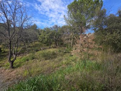 Vente Terrain constructible Vidauban - Réf. 10615  - Mandataire immobilier Stéphanie Van De Kadsye - image 2