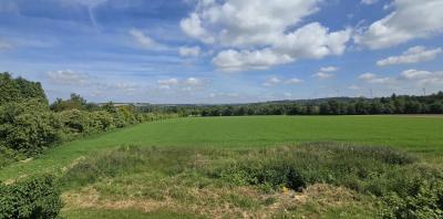 Vente Maison de village Rohan - Réf. 11150  - Mandataire immobilier Pierre-Yves Le Dorner - image 12