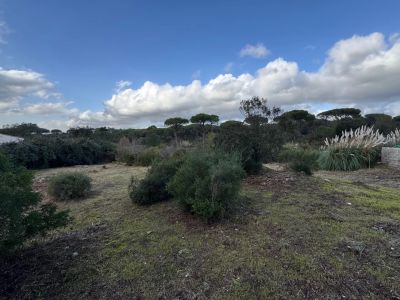 Vente Terrain constructible Fréjus - Réf. 10539  - Mandataire immobilier Johan Benguigui - image 4