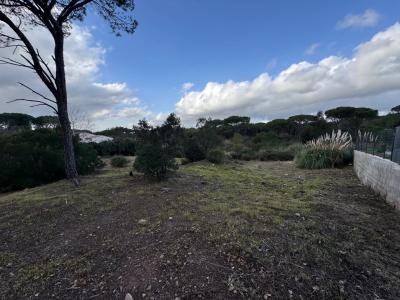 Terrain constructible 1037 m²