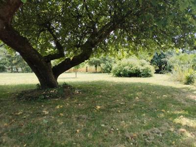 Vente Terrain Villebéon - Réf. 9847  - Mandataire immobilier Marie Butet - image 2