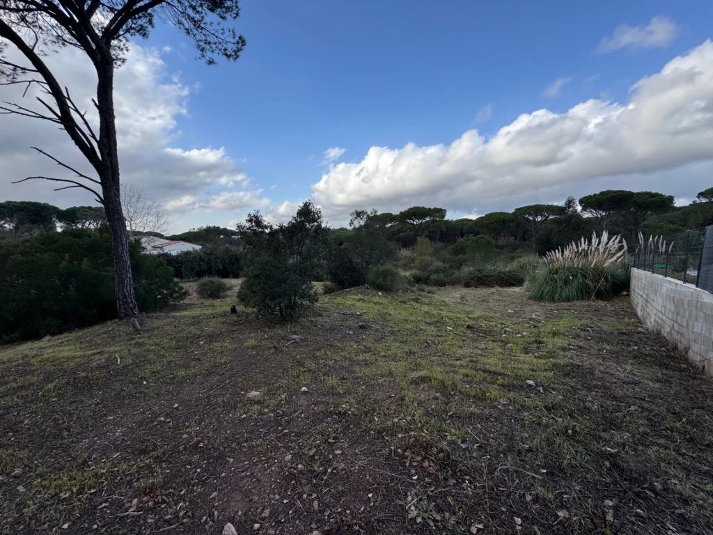 Vente Vente Terrain constructible Fréjus - Réf. 10539  - Mandataire immobilier Johan Benguigui - image 1