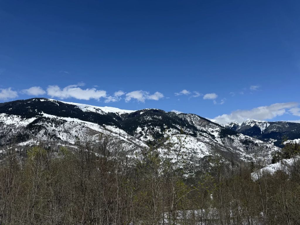 Courchevel 73120 – Chalet