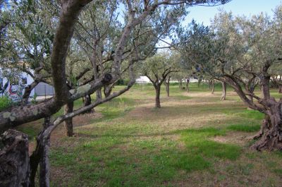 Terrain 1200 m²