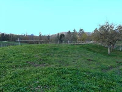 Vente Terrain constructible Saint-Geoire-en-Valdaine - Réf. 10752  - Mandataire immobilier Azzédine Chared - image 5