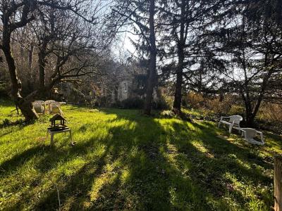 Vente Maison Poligny - Réf. 10741  - Mandataire immobilier Bérangère Leroy - image 2