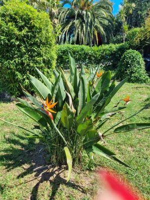Puget-sur-Argens 83480 – Maison