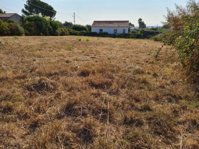 Vente Terrain constructible Pietroso - Réf. 11431  - Mandataire immobilier Christine Paolini - image 2