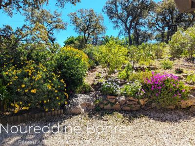 Vente Appartement Grimaud - Réf. 10921  - Mandataire immobilier Noureddine Bohrer - image 15