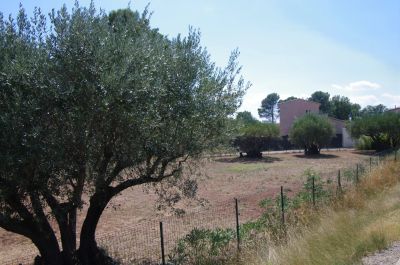 Terrain 1200 m²