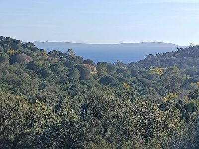 Le Lavandou 83980 – Villa
