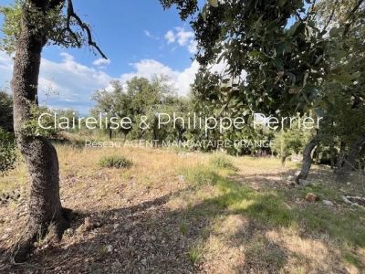 Vente Terrain constructible Le Thoronet - Réf. 11409  - Mandataire immobilier Philippe Perrier - image 4