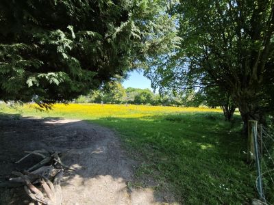 Vente Maison Sassegnies - Réf. 11479  - Mandataire immobilier Justine Lambert - image 10