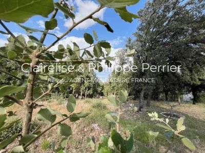 Vente Terrain constructible Le Thoronet - Réf. 11409  - Mandataire immobilier Philippe Perrier - image 5