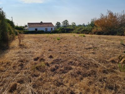 Vente Terrain constructible Pietroso - Réf. 11431  - Mandataire immobilier Christine Paolini - image 4
