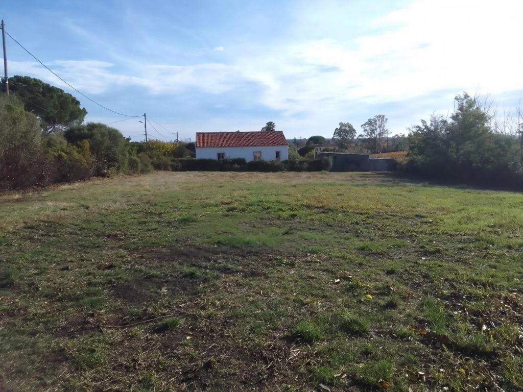 Vente Vente Terrain constructible Pietroso - Réf. 11431  - Mandataire immobilier Christine Paolini - image 1