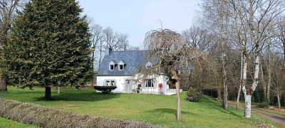 Vente Maison Rohan - Réf. 10535  - Mandataire immobilier Julien Stil - image 8
