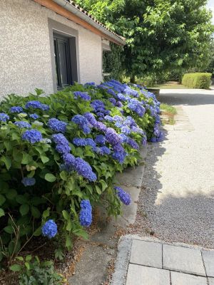 Les Villettes 43600 – Maison