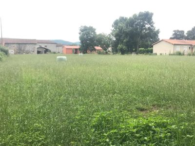 Vente Terrain constructible Beauchalot - Réf. 11511  - Mandataire immobilier Catalina Gutierrez - image 4