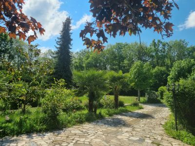 Vente Propriété Égreville - Réf. 11604  - Mandataire immobilier Marie Butet - image 13