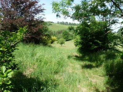 Vente Maison Merlas - Réf. 10603  - Mandataire immobilier Azzédine Chared - image 6