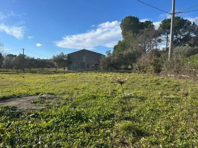 Vente Terrain constructible Lorgues - Réf. 10465  - Mandataire immobilier Sylvie Geler - image 3