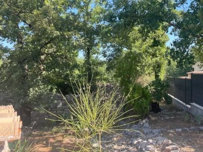 Vente Maison Trans-en-Provence - Réf. 10691  - Mandataire immobilier Sylvie Geler - image 8