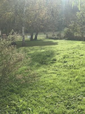 Vente Terrain constructible Ardiège - Réf. 11193  - Mandataire immobilier Catalina Gutierrez - image 4