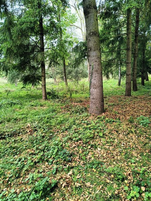Saint-Priest-en-Jarez 42270 – Terrain constructible