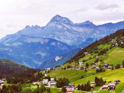 Vente Chalet Notre-Dame-de-Bellecombe - Réf. 11144  - Mandataire immobilier Michel Baillot - image 3