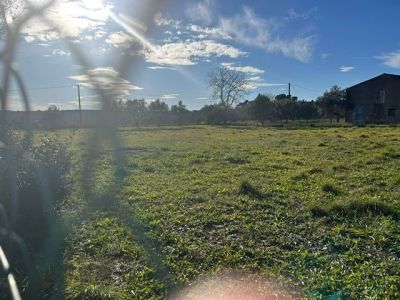 Vente Terrain constructible Lorgues - Réf. 10465  - Mandataire immobilier Sylvie Geler - image 2