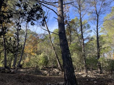 Terrain constructible 2150 m²