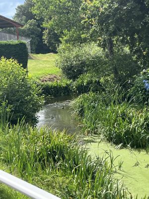 Vente Maison Caouënnec-Lanvézéac - Réf. 11223  - Mandataire immobilier Anne-Louise Prigent - image 19