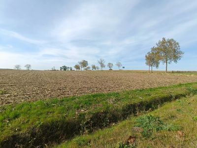 Terrain constructible 11378 m²