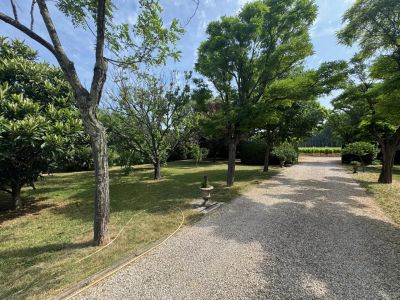 Vente Maison Besse-sur-Issole - Réf. 11189  - Mandataire immobilier Johan Benguigui - image 5