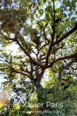 Vente Maison Bouc-Bel-Air - Réf. 11092  - Mandataire immobilier Xavier Paris - image 6