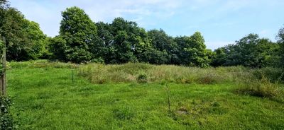 Vente Maison Bégard - Réf. 11550  - Mandataire immobilier Anne-Louise Prigent - image 3